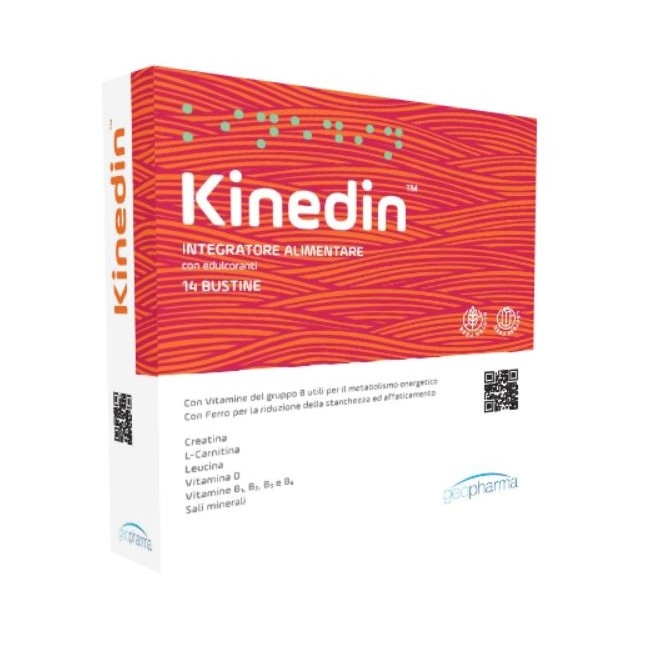 KINEDIN 14BUST