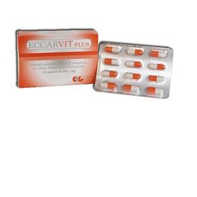 ECCARVIT PLUS 12CPS