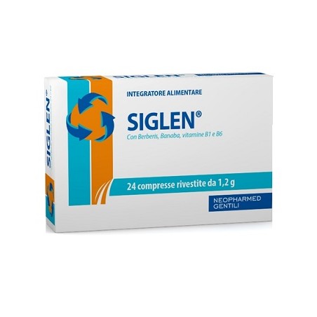 SIGLEN 24CPR RIVESTITE