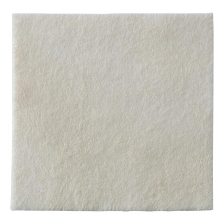 BIATAIN ALGINATE 10X10CM 10PZ