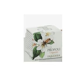 PROPOLI UNGUENTO 50ML