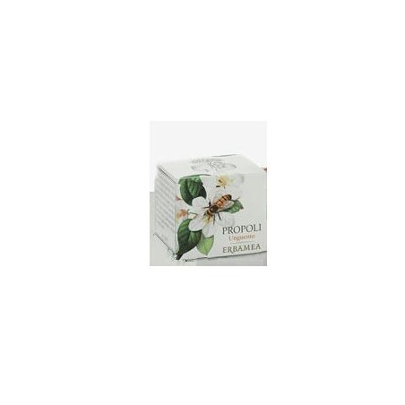 PROPOLI UNGUENTO 50ML