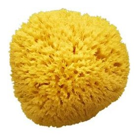 SPUGNA MARE ARCIPELAGO 14 MED