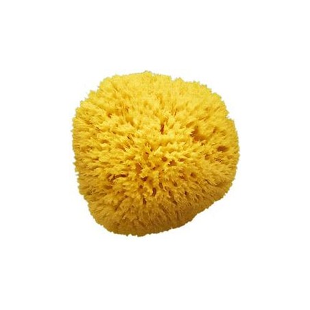 SPUGNA MARE ARCIPELAGO 14 MED