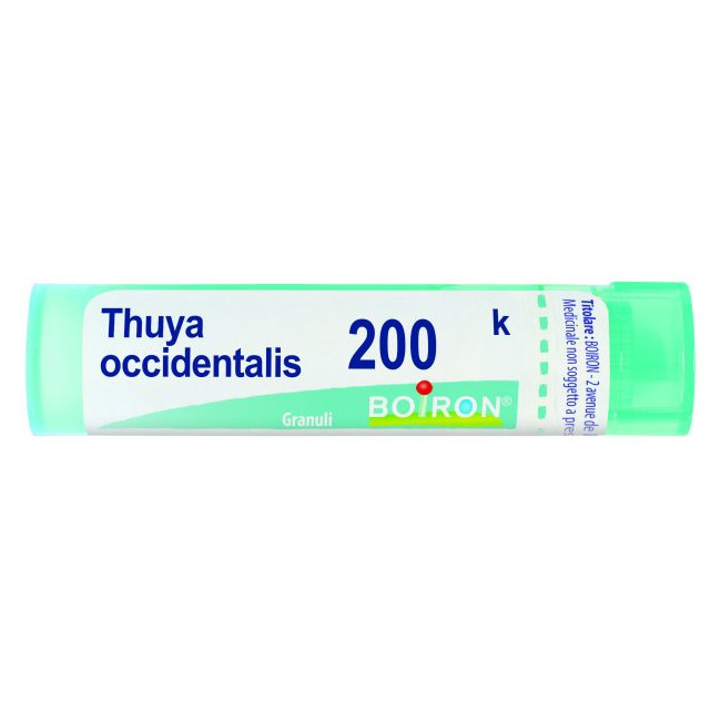 THUYA OCC 200K GR