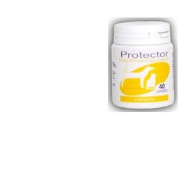PROTECTOR CRESCITA 40CPR