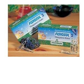 FISIOSOL 14 K 20F 2ML