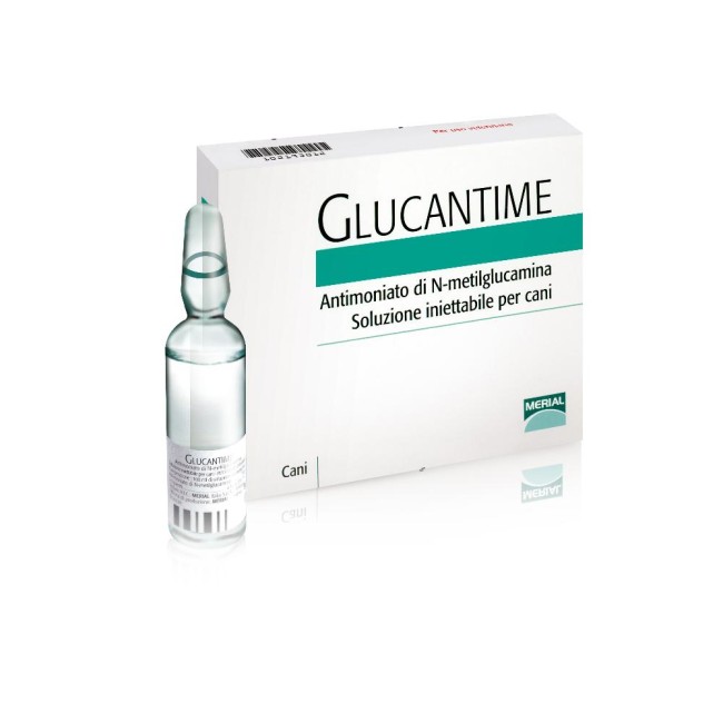 GLUCANTIME*INIET 5F 5ML GLUCANTIME*INIET 5F 5ML