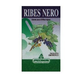 RIBES NE ERBE 75CPS