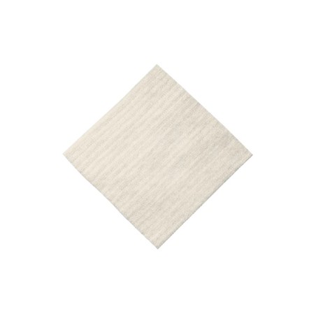 ALGISITE M MEDIC 10X10CM 10PZ