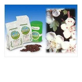 BIANCOSPINO TT 1000G