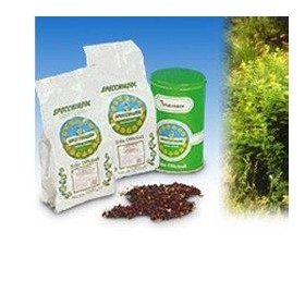 LIQUIRIZIA NAT DECORT 1000G