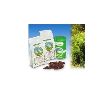 LIQUIRIZIA NAT DECORT 1000G