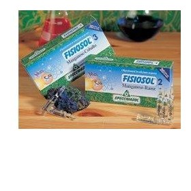 FISIOSOL 12 P 20F