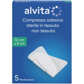ALVITA GARZA ADES TNT 10X8 5PZ
