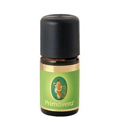 BENZOINO SIAM OE BIO 5ML