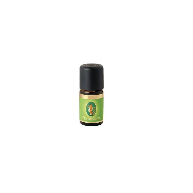 BENZOINO SIAM OE BIO 5ML