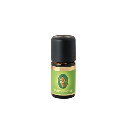 BENZOINO SIAM OE BIO 5ML