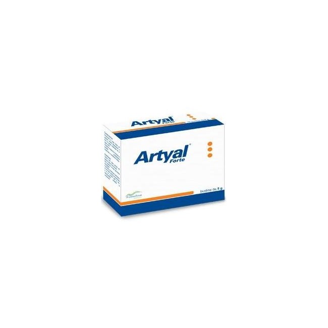 ARTYAL FORTE 20BUST