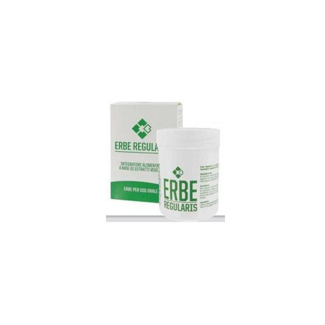 ERBE REGULARIS 80G
