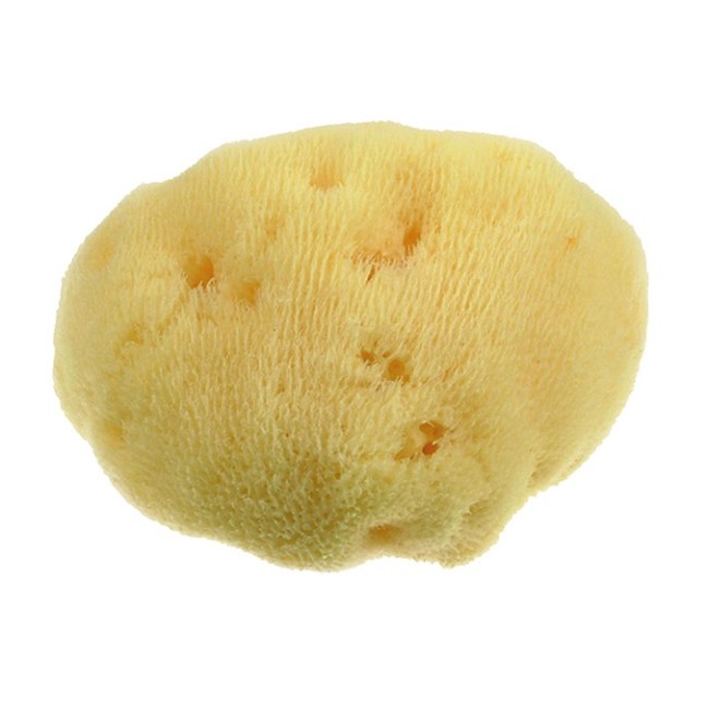 Mood Spugna Mar Mediterraneo Fine Dama 10cm Mood Spugna Mar Mediterraneo Fine Dama 10cm