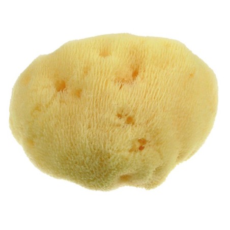 Mood Spugna Mar Mediterraneo Fine Dama 10cm Mood Spugna Mar Mediterraneo Fine Dama 10cm