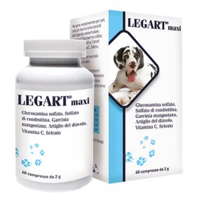LEGART MAXI 60CPR