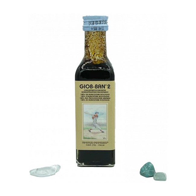 GIOB BAN 2 ART ESTR CONC 100ML