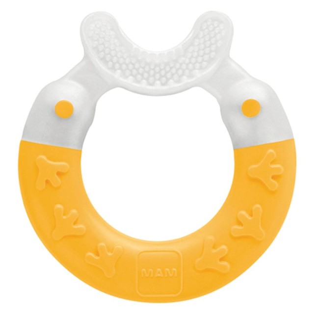 MAM DENTAR BITE&BRUSH3+ MAM DENTAR BITE&BRUSH3+