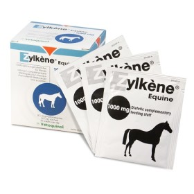 ZYLKENE EQUINI 1000MG 20BUST