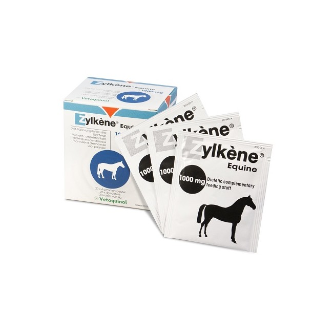 ZYLKENE EQUINI 1000MG 20BUST