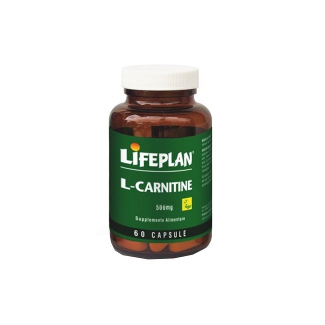 L-CARNITINE 500MG 60CPS