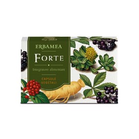 FORTE 24CPS