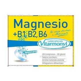 MAGNESIO 100% 24CPR