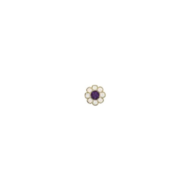 BJT714 GP VIOLET FLOWER