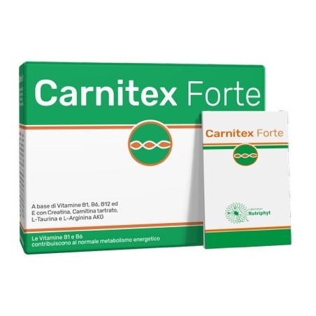 CARNITEX FORTE 14BUST
