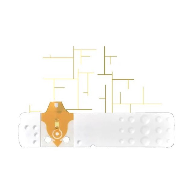 Strisce Misurazione Glicemia Linea D Oro 50 Pezzi