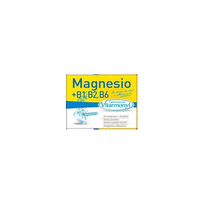 MAGNESIO 100% 24CPR