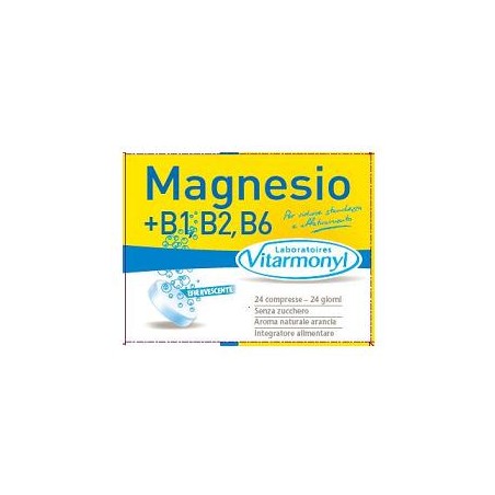 MAGNESIO 100% 24CPR