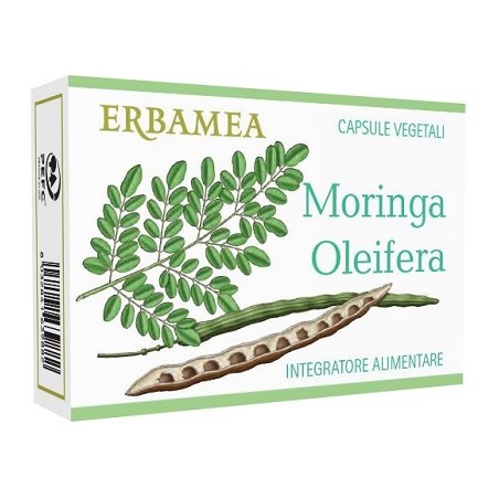 MORINGA OLEIFERA 24CPS