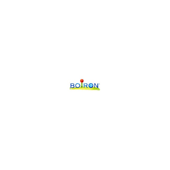 ARNICA XMK GL ARNICA XMK GL
