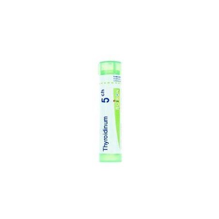 THYROIDEA 5CH GR