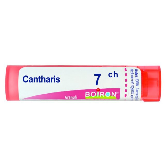 CANTHARIS 7CH GR