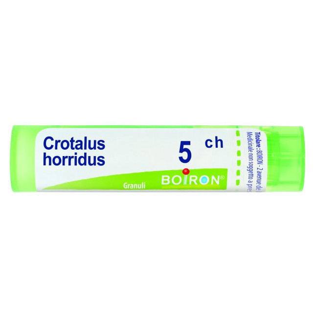 CROTALUS HORRIDUS 5CH GR