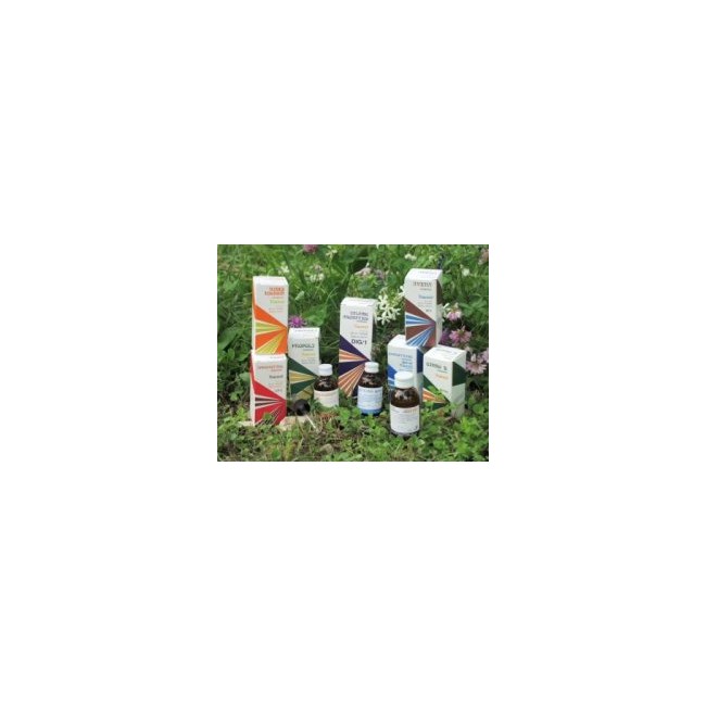 RAEMIL BORSA PASTORE COMP 25ML