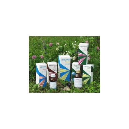 RAEMIL RADICE NE COMP 250ML