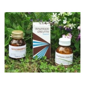 VIRIDIS GINKO BILOBA 60OPR