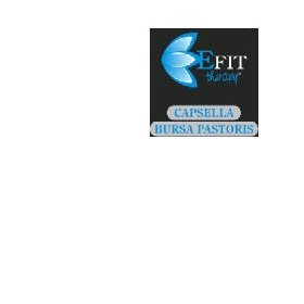 BORSA PASTORE EF 30ML