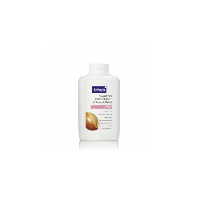 SHAMPOO RIGEN BURRO KARIT250ML