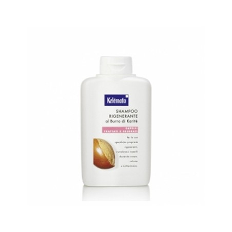 SHAMPOO RIGEN BURRO KARIT250ML